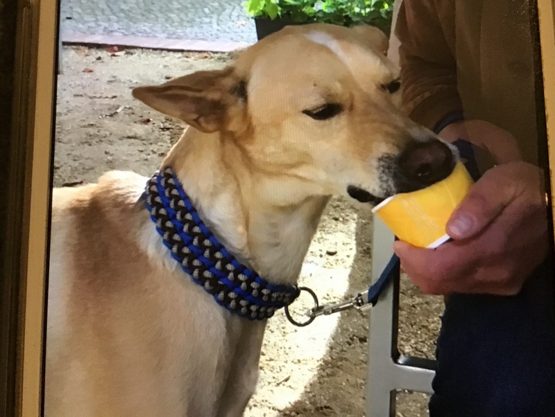 1 5EF66EC8 3350 492C 9ECF C1CDE6170D85