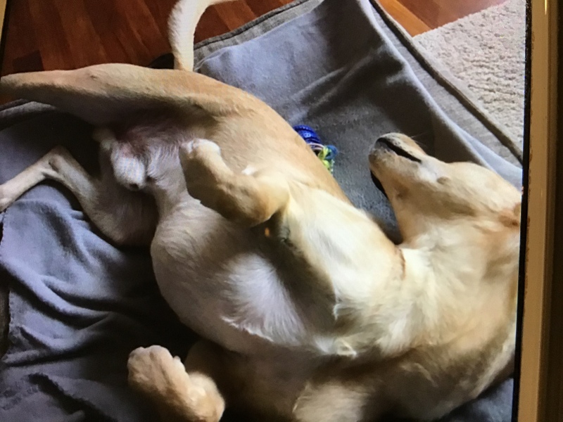 1 750210E0 636C 4EE3 A059 A5583966ED9B