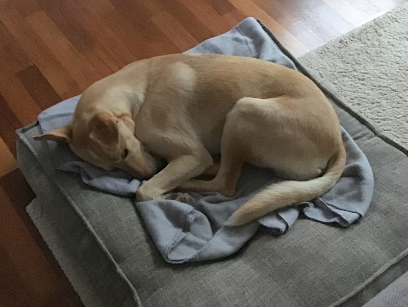 1 848252CB 47DF 4366 80F2 C1A51C610637