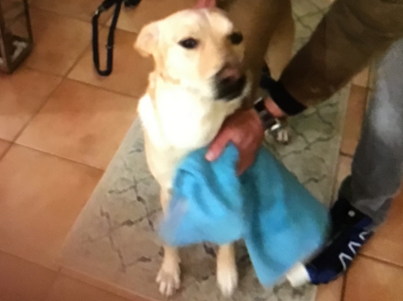 1 E57B69A5 A446 42D1 95E9 6C7F065FA352