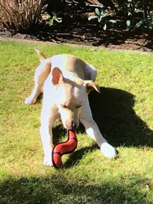 1 F16BAB8D 0E0B 4573 A45F B1DD6DA1F3DF 001