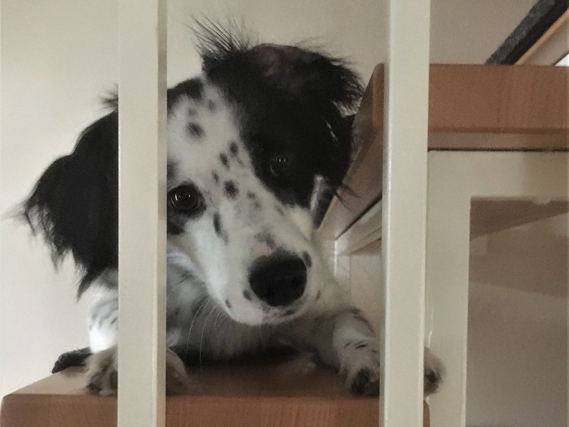 1 630F1854 7548 4EC4 AC02 1E33C469C35D