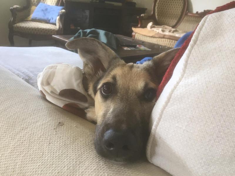 1 PHOTO 2020 11 26 18 14 30