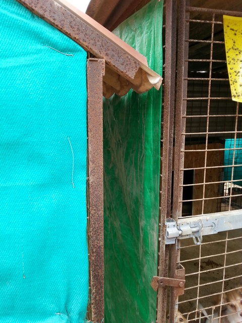 1 20151115 131421 resized