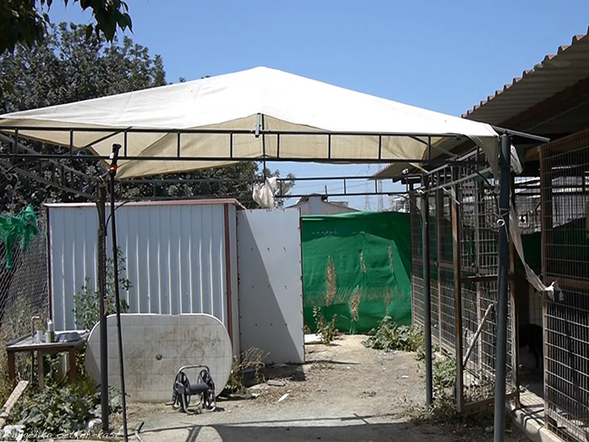 Polimedia Welpen Mai AOK 01