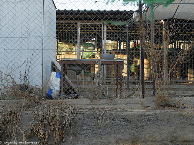 1 Niels polimedia 02 AOK