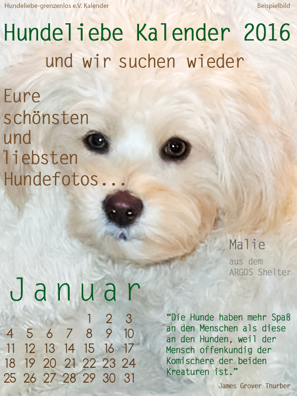 hulikalender2016beispielbild