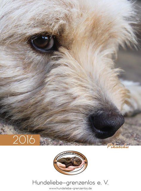 1 Deckblatt Kalender2016