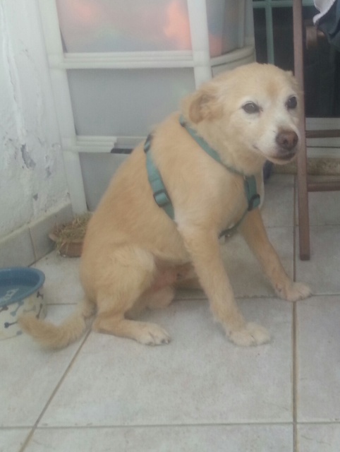 1 20150717 071810 resized