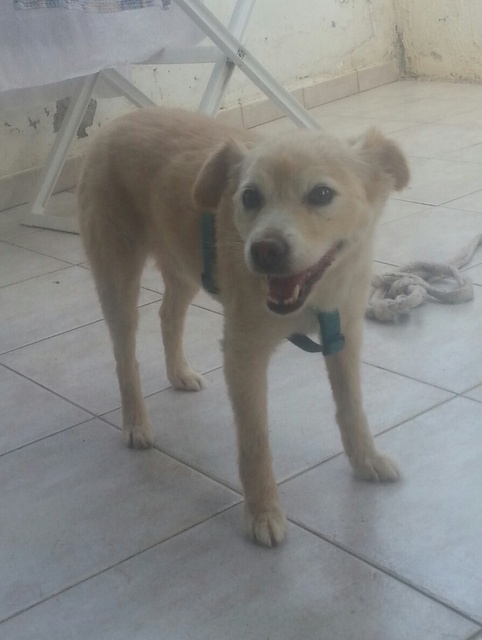 1 20150717 071955 resized