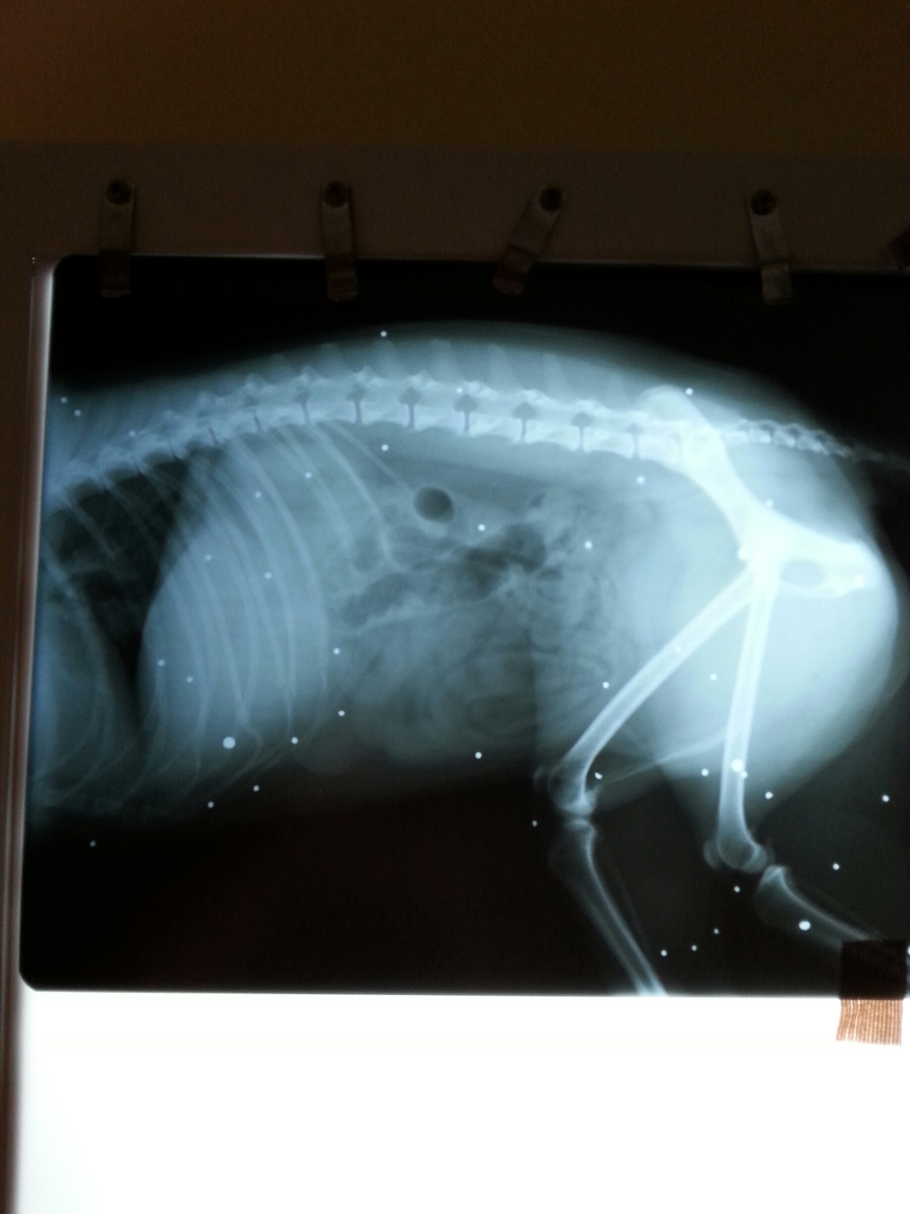 20150730 170518 resized