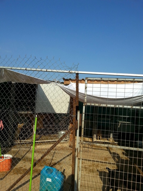 20150621 174835 resized