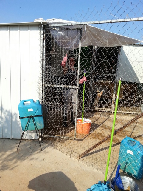 20150621 174842 resized