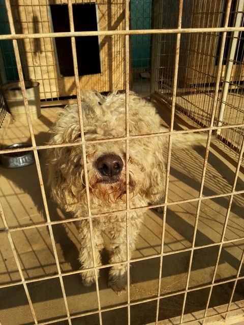 1 20151109 082455 resized