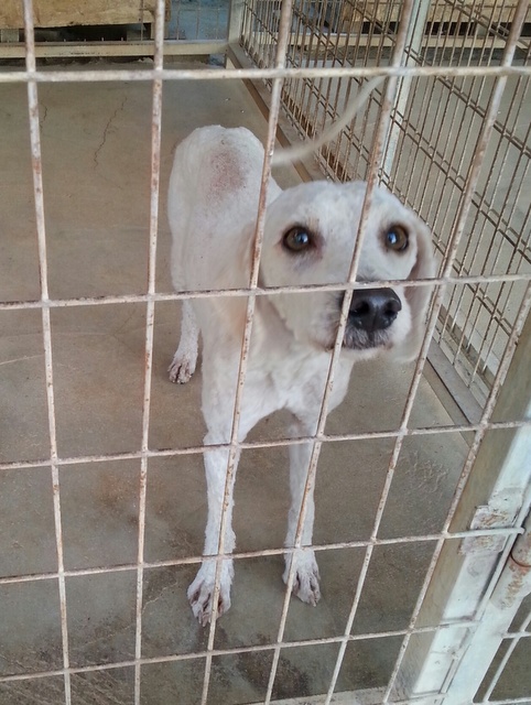 1 20151110 064115 resized