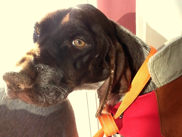 1 20151205 083450 resized 001