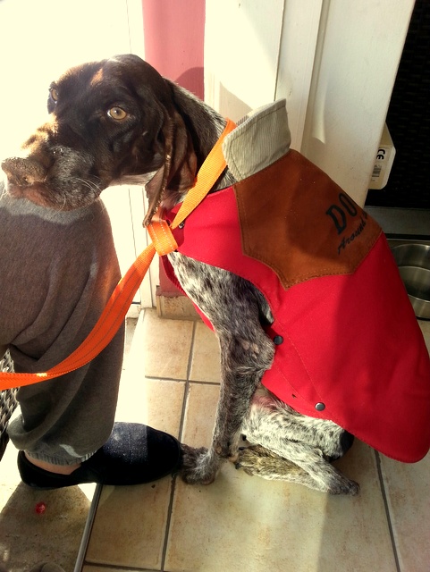 1 20151205 083450 resized