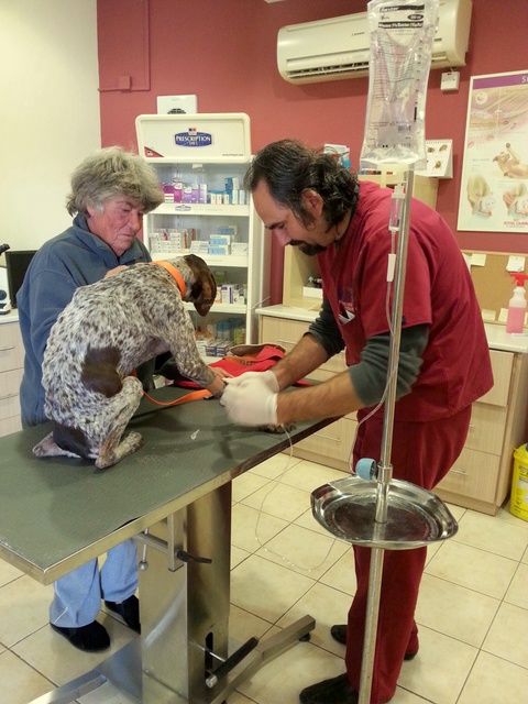 1 20151205 084533 resized