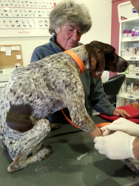 1 20151205 084539 resized