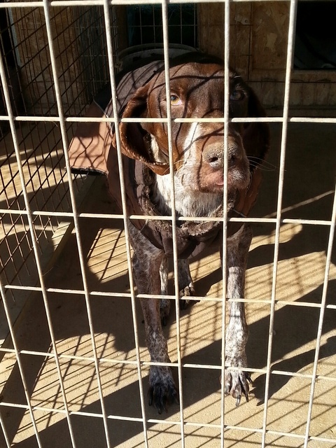 1 20151220 125737 resized