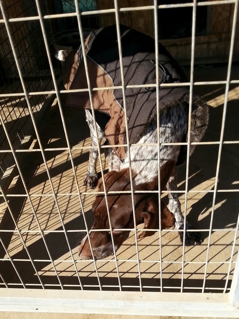 1 20151220 125743 resized