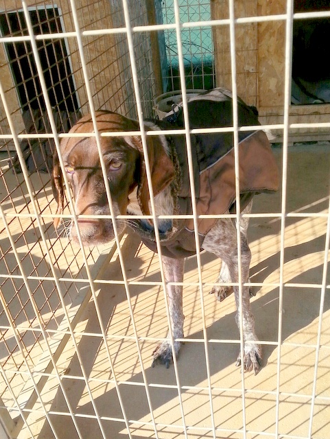 1 20151220 125745 resized