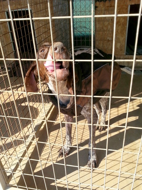 1 20151220 125746 resized