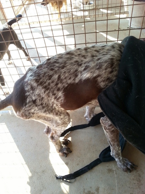 1 20151220 131613 resized