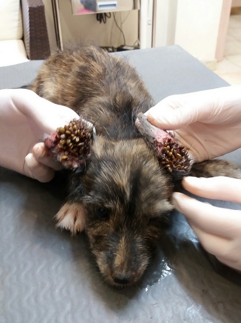 1 20160805 084815 resized 1