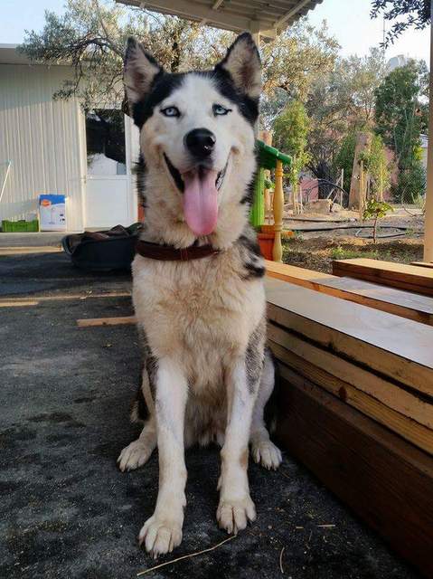 1 received 10207783387165901