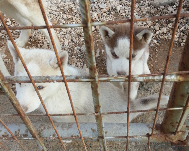 1 2014 12 20 13.30.57