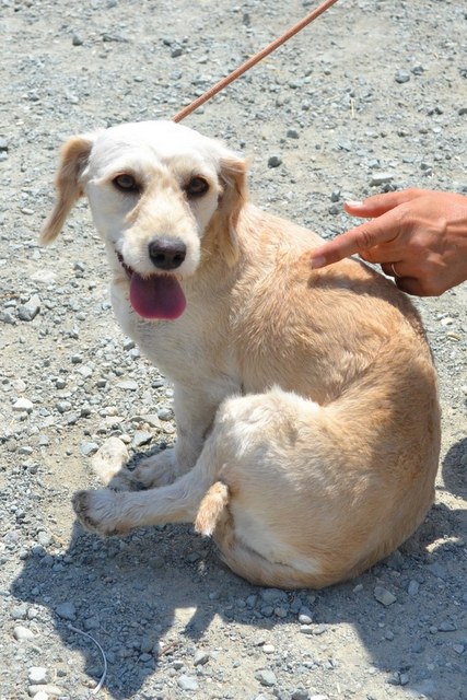 1 DSC 1783 1600x1067 002