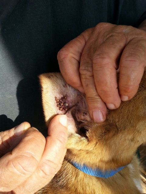 1 20160407 153833 resized