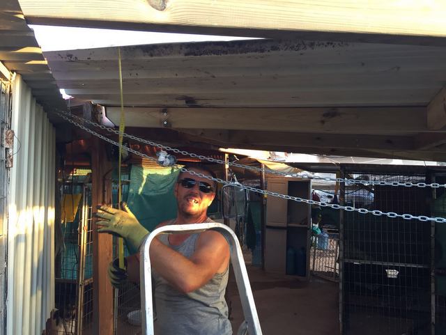 1 IMG 20160817 WA0021