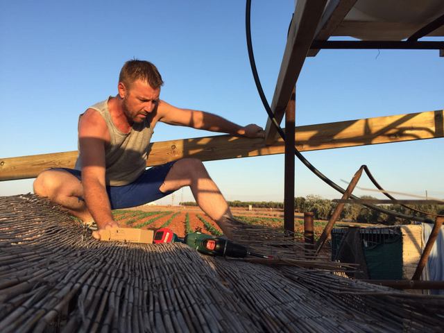 1 IMG 20160819 WA0047