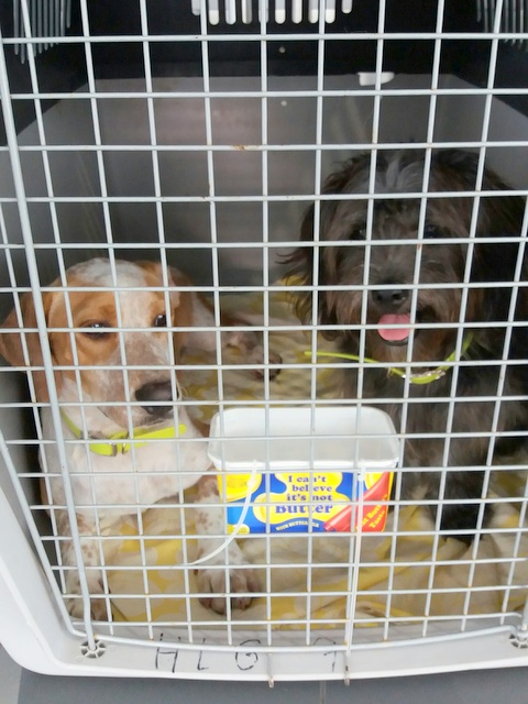 1 20160815 131632 resized