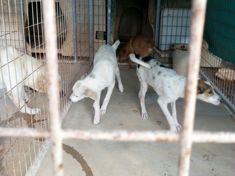 1 20160203 131035 resized