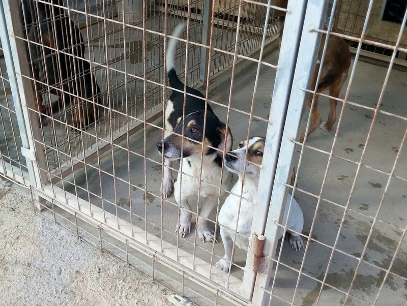 1 20160203 131055 resized