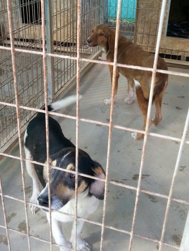 1 20160203 131058 resized