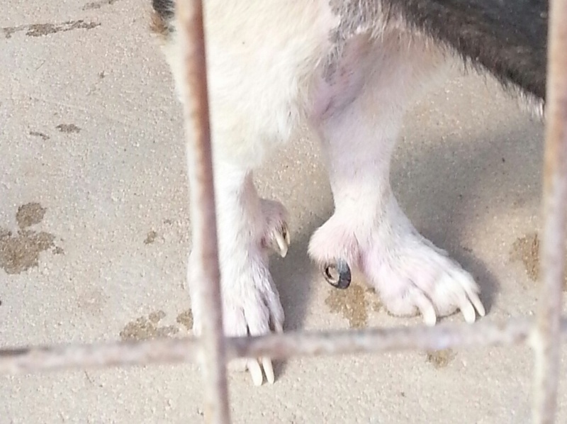 1 20160203 131235 resized