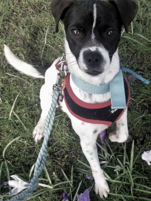 thumb 1 20170326 104758