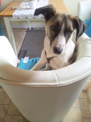 thumb 20160725 144527 001