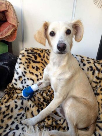 9aff36da47035e1f594d82eebae4d7f4