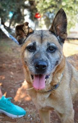 thumb 1 Megan6 6 von 6