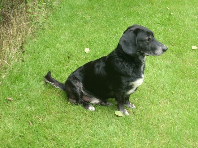 1 19989218 1355777357852397 7011788876145804720 n