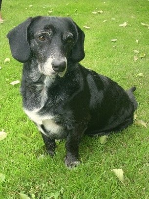 1 20139823 1355777384519061 3570743263362873886 n