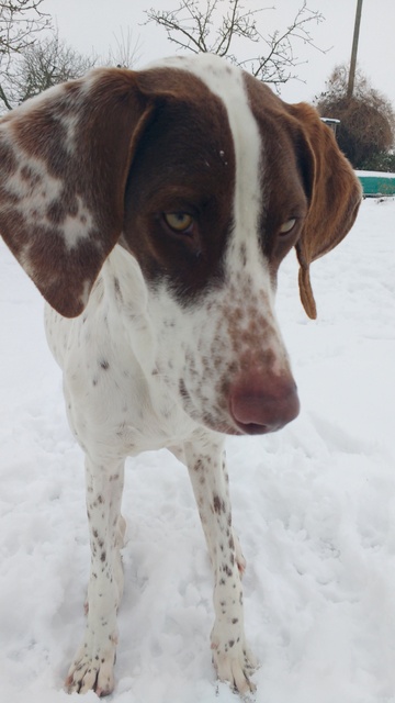 1 IMG 20170203 123425170