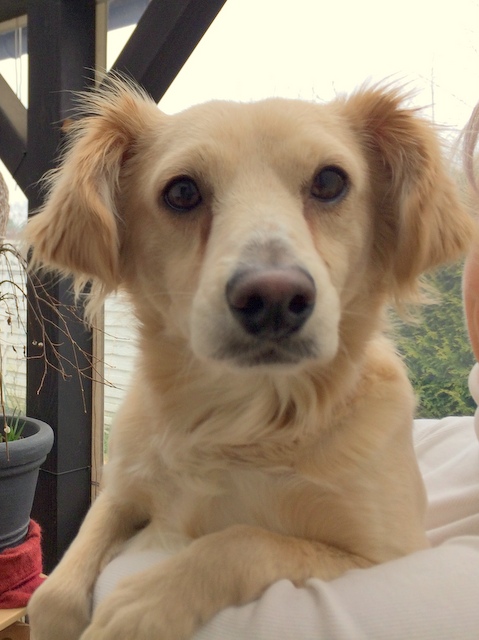 1 887a4e43 d689 4809 929e d7c75ed07820