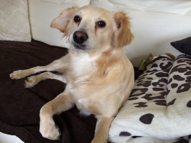 1 e9deafee 02a1 49a2 bd3b bf17b7880d51