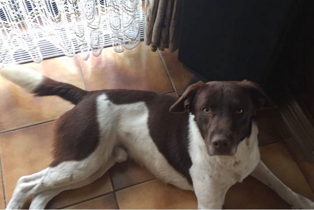 1 2018 04 30 PHOTO 00000244